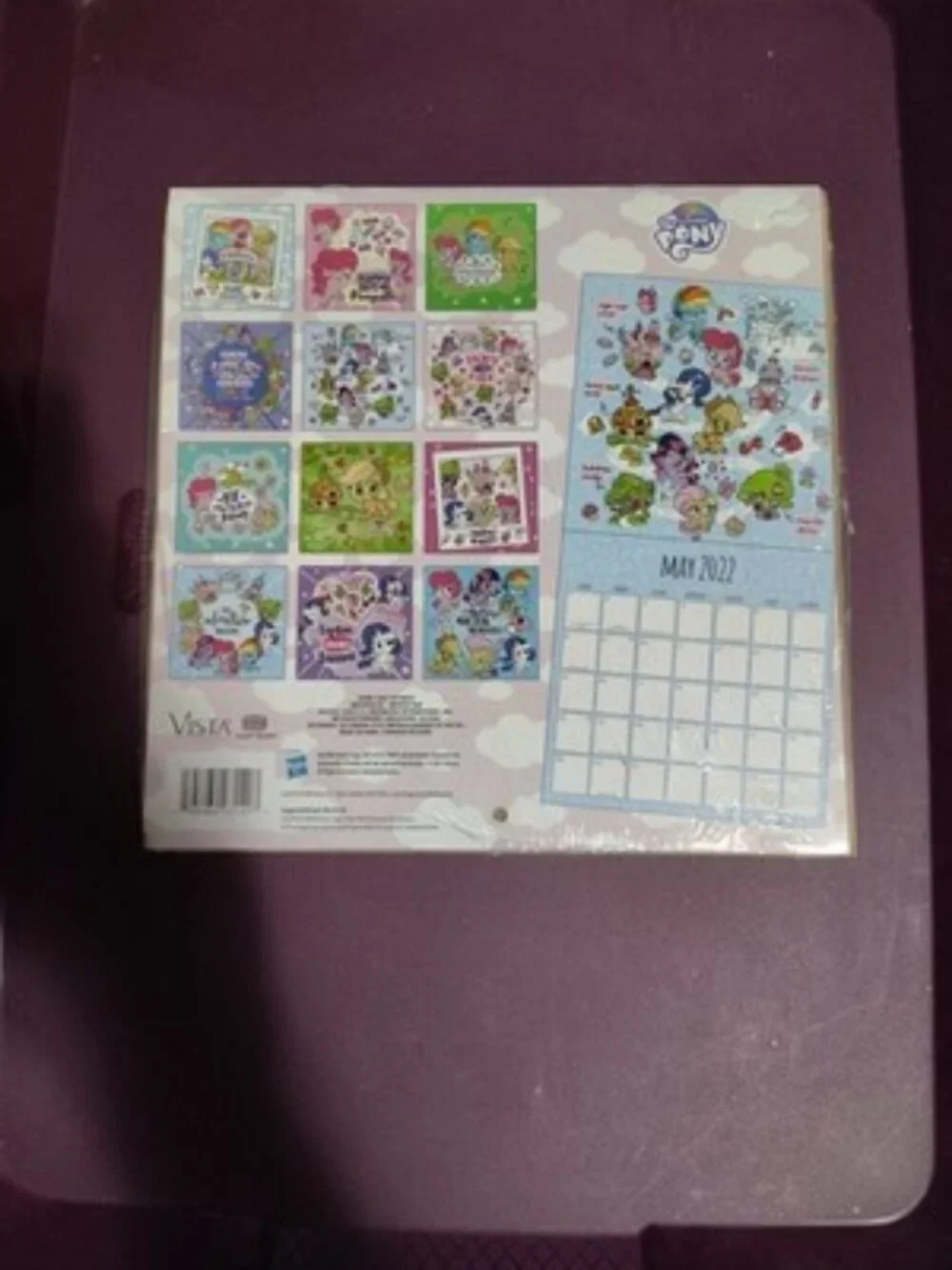 My Little Pony 2022 16-Month 10